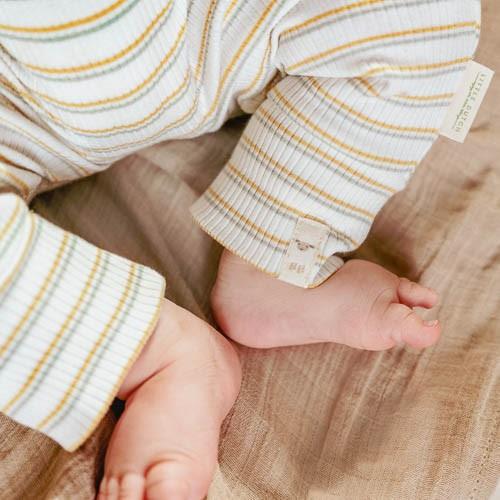 Boxpakje - Meerkleurig - Little Farm - Streep - Image 10