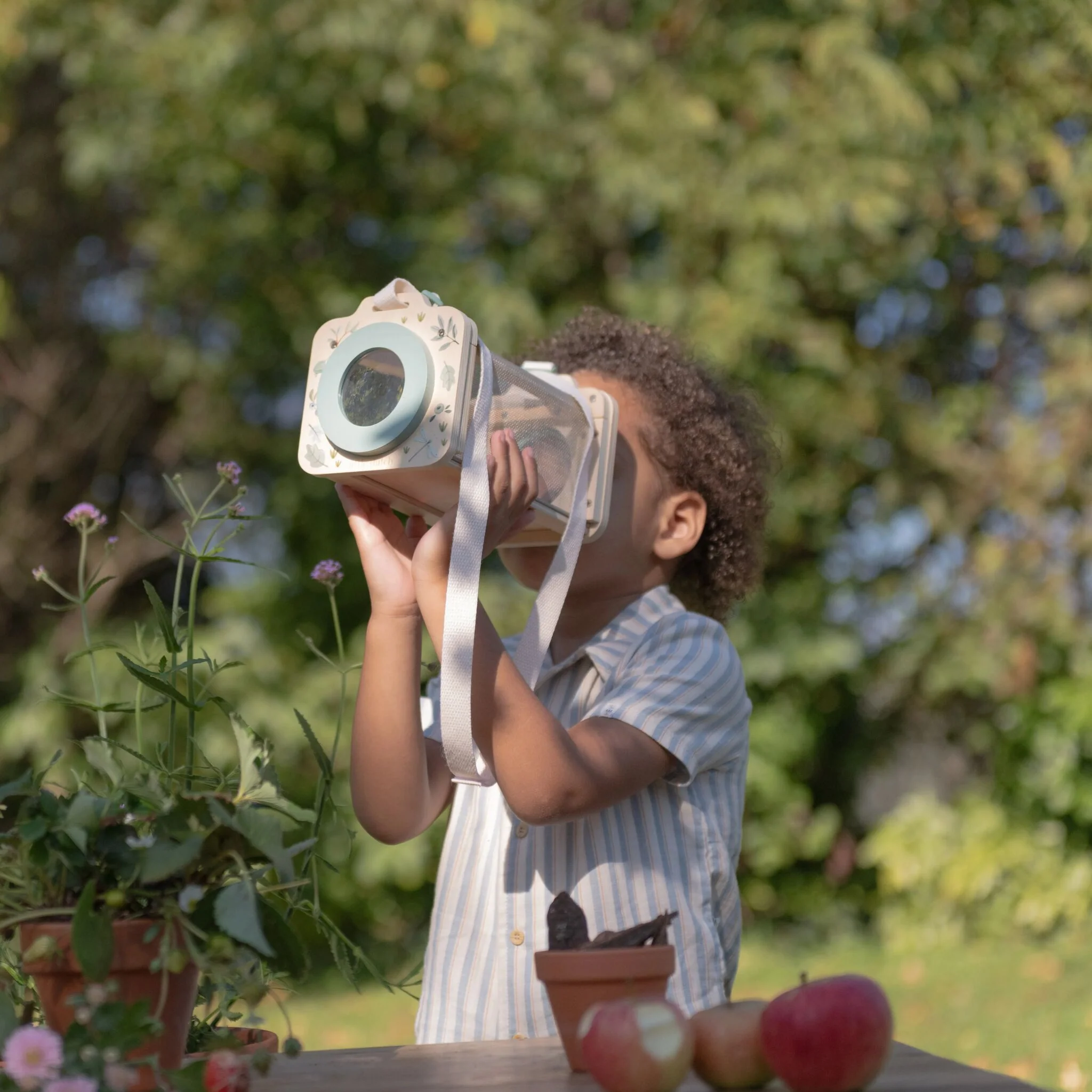 Insectendoosje - Groen - Image 4