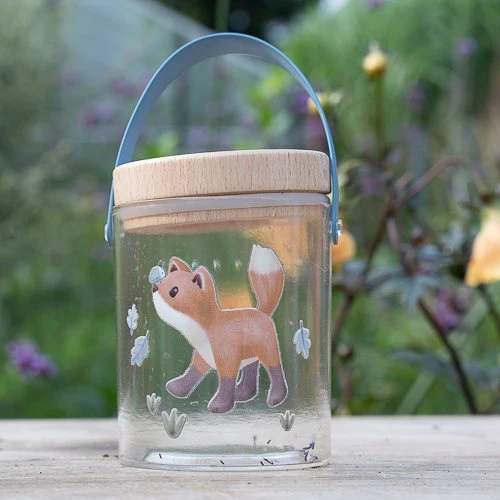 Insectenpotje - Blauw - Forest Friends - Image 6