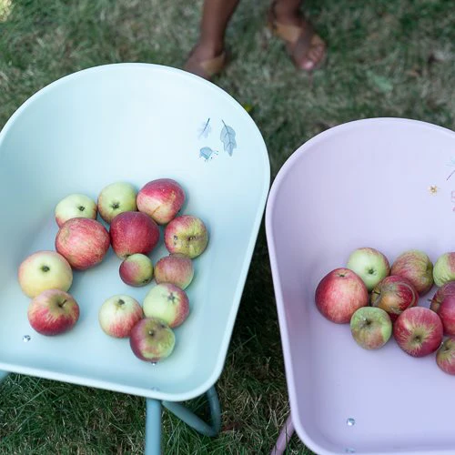 Kruiwagen - Roze - Fairy Garden - Image 10