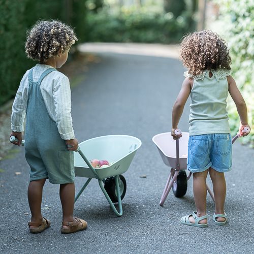 Kruiwagen - Roze - Fairy Garden - Image 16