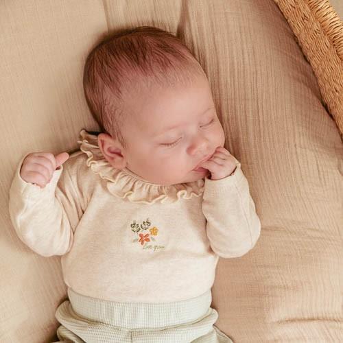 Romper lange mouw - Zand - Little Farm - Opdruk - Image 14