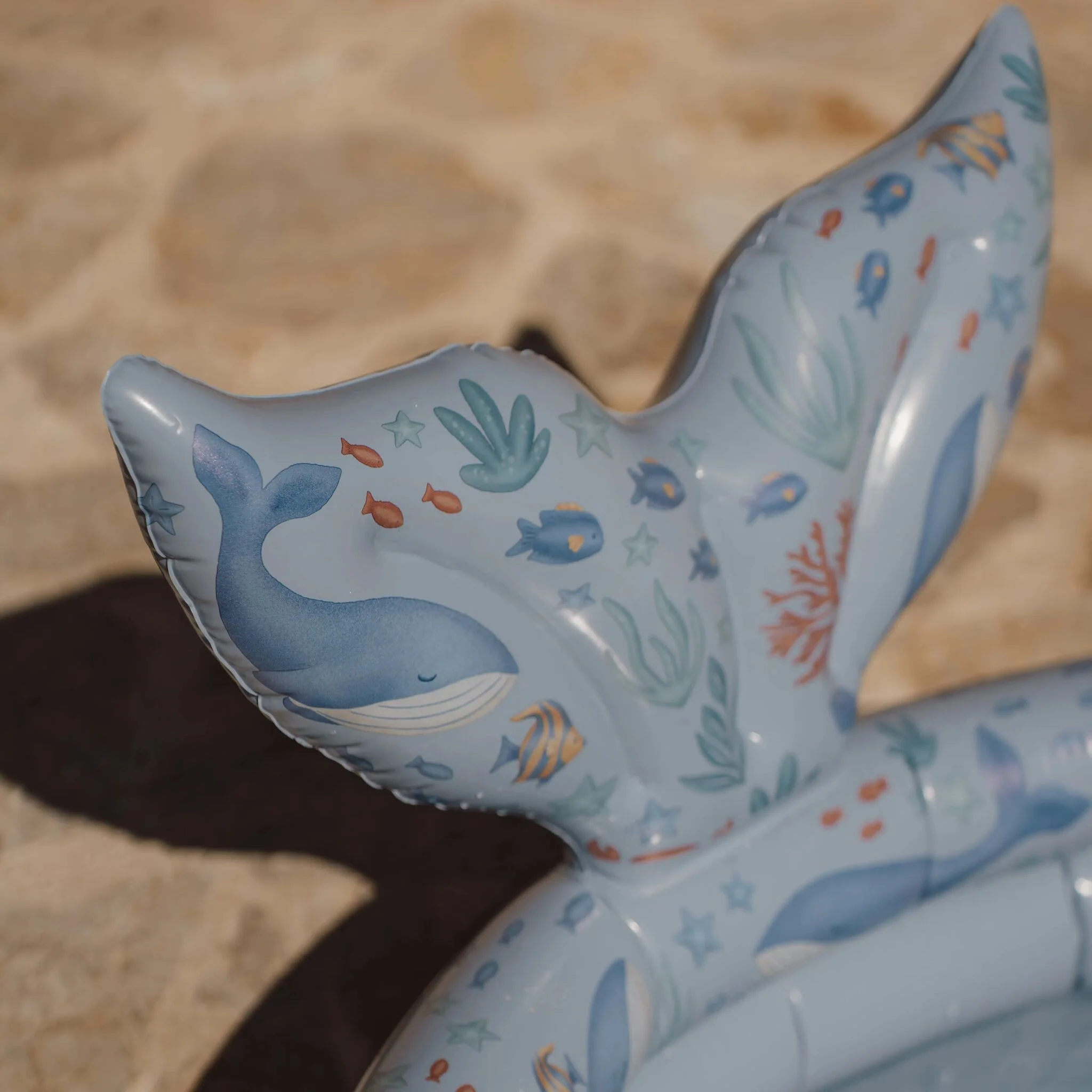 Zwembad - Blauw - Ocean World - Image 4