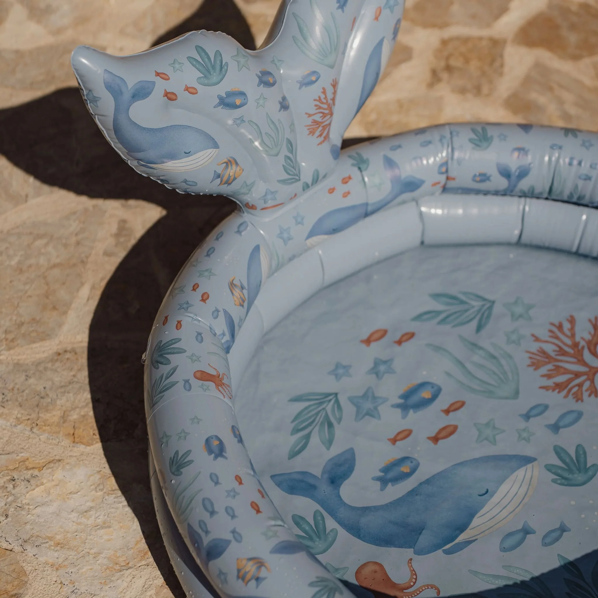 Zwembad - Blauw - Ocean World - Image 6