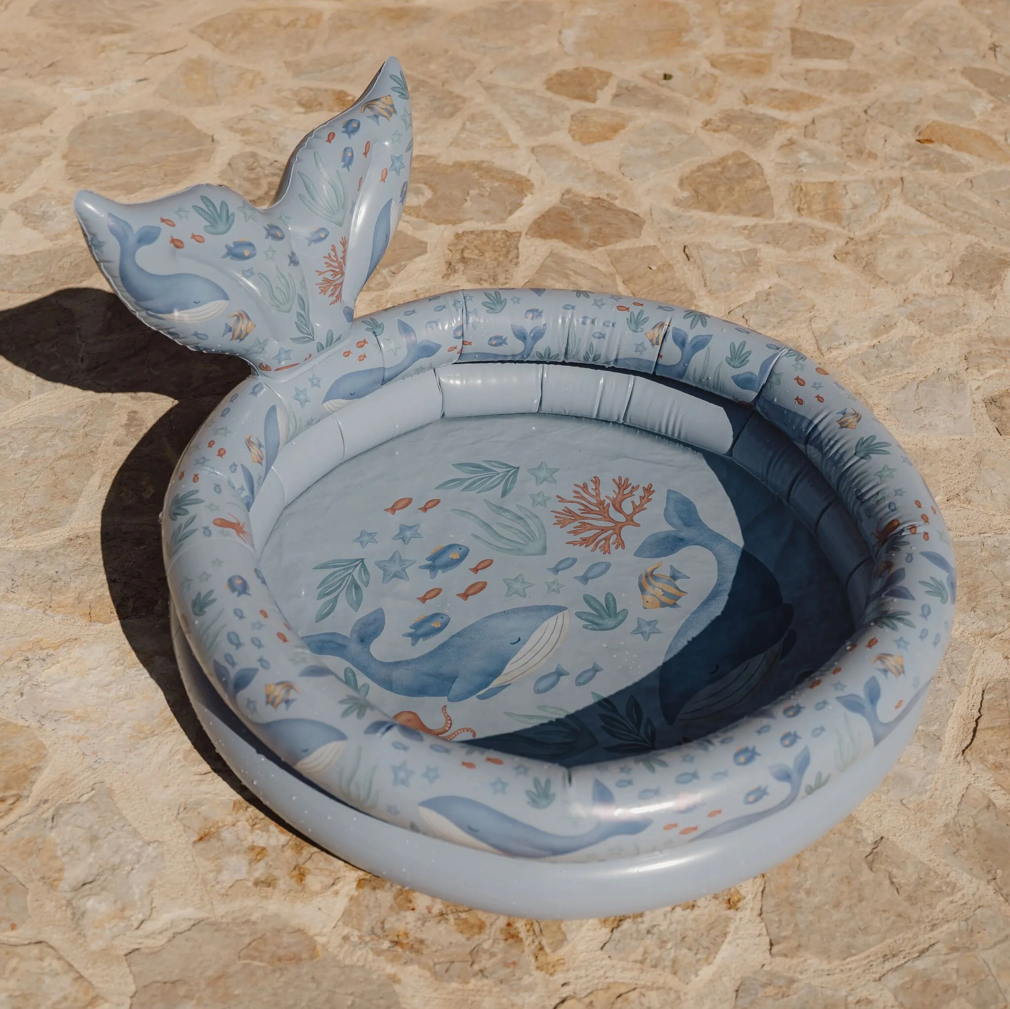 Zwembad - Blauw - Ocean World - Image 8